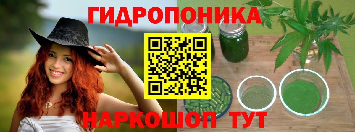 Шишки марихуана VHQ  Вход с VPN  Канабис SATIVA & INDICA  Пушкино  Марихуана Bruce Banner  Марихуана план 